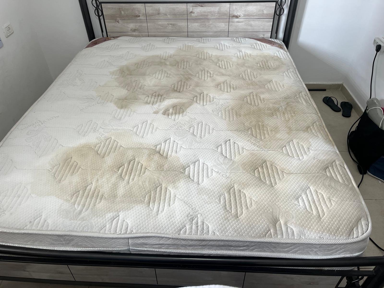 WhatsApp Image 2024-05-16 at 14.54.53 (2)